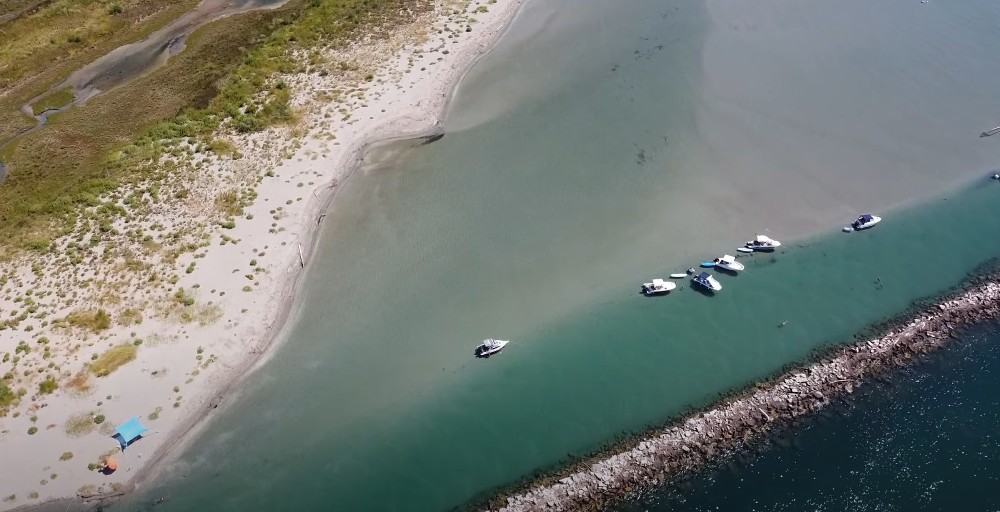 Barena in laguna con vegetazione